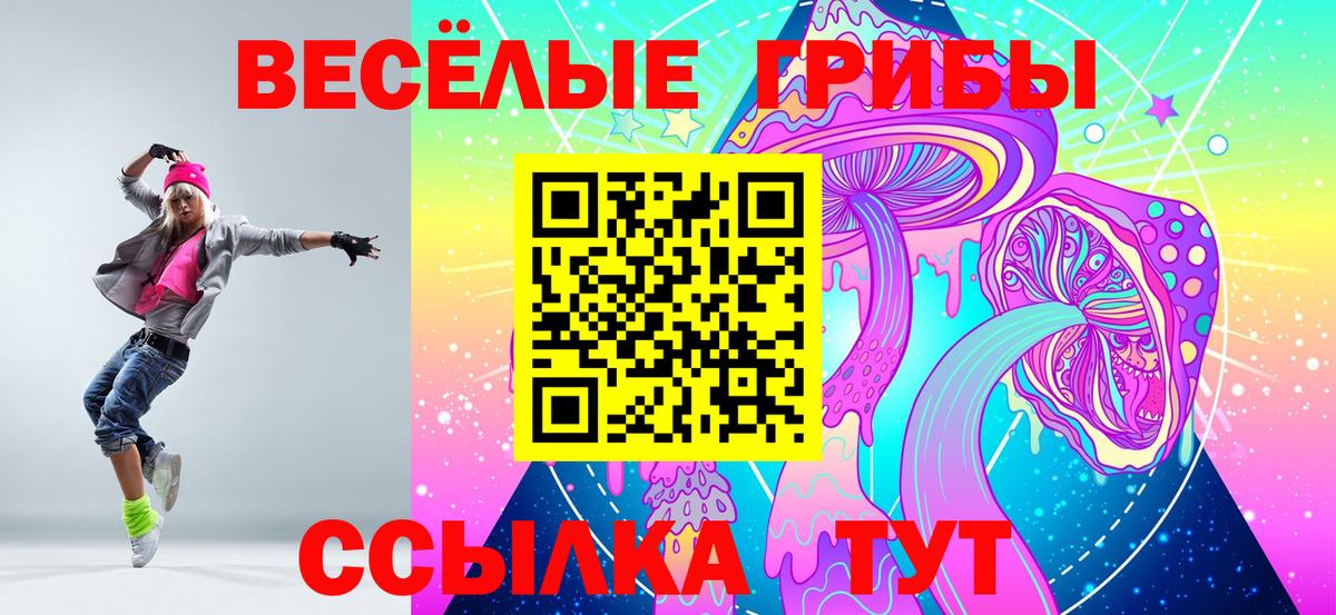 Алексин  Галлюциногенные грибы прущие грибы  Вход с VPN 